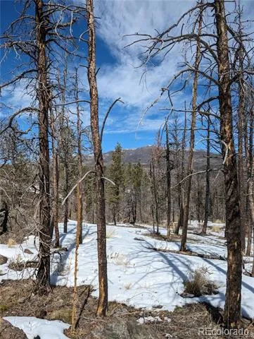 60 Powder Horn Trail Bellvue, CO 80512