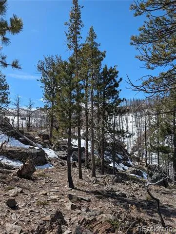 60 Powder Horn Trail Bellvue, CO 80512