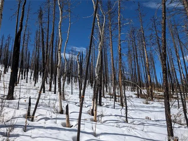 60 Powder Horn Trail Bellvue, CO 80512