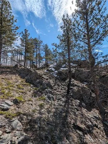 60 Powder Horn Trail Bellvue, CO 80512