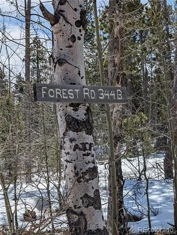 60 Powder Horn Trail Bellvue, CO 80512