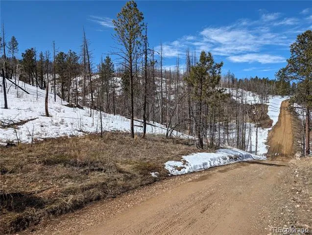 60 Powder Horn Trail Bellvue, CO 80512