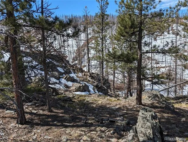 60 Powder Horn Trail Bellvue, CO 80512