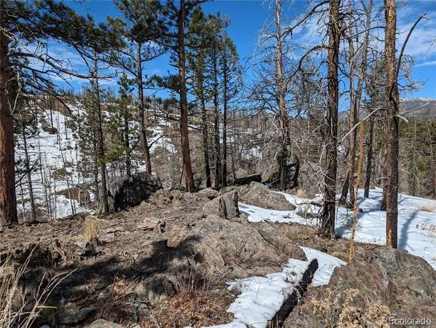 60 Powder Horn Trail Bellvue, CO 80512