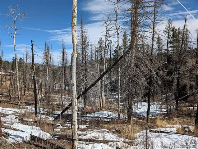 60 Powder Horn Trail Bellvue, CO 80512