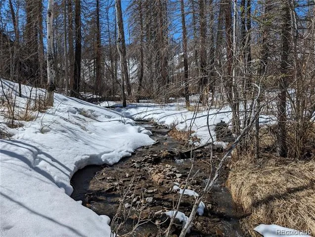 60 Powder Horn Trail Bellvue, CO 80512