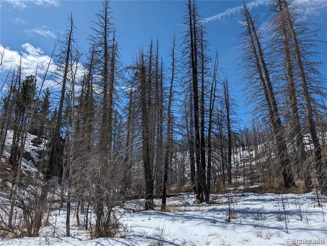 60 Powder Horn Trail Bellvue, CO 80512