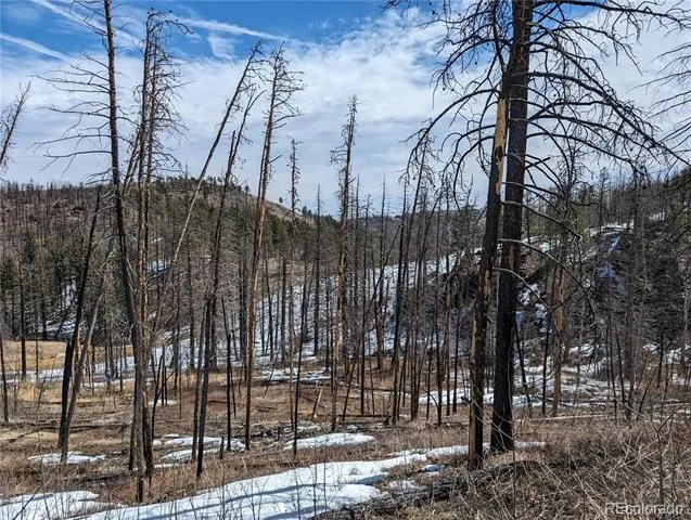 60 Powder Horn Trail Bellvue, CO 80512