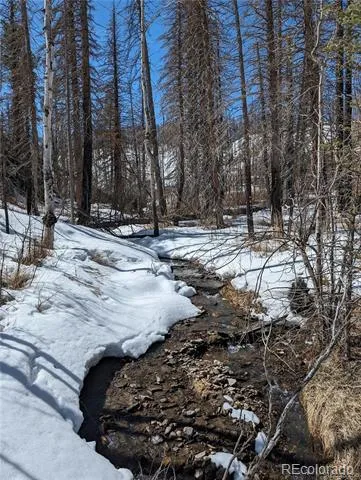 60 Powder Horn Trail Bellvue, CO 80512
