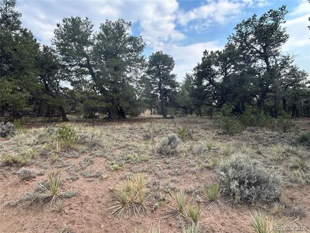 3530 Camino Del Rey Crestone, CO 81131