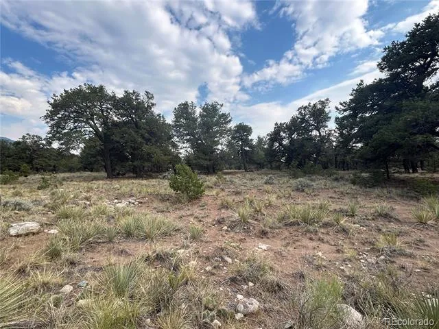 3530 Camino Del Rey Crestone, CO 81131