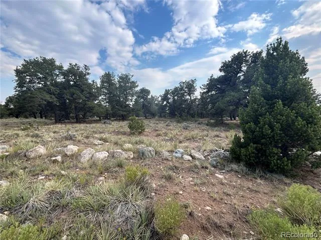 3530 Camino Del Rey Crestone, CO 81131
