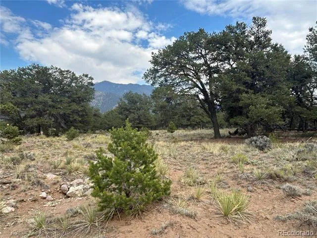 3530 Camino Del Rey Crestone, CO 81131