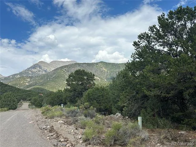 3530 Camino Del Rey Crestone, CO 81131