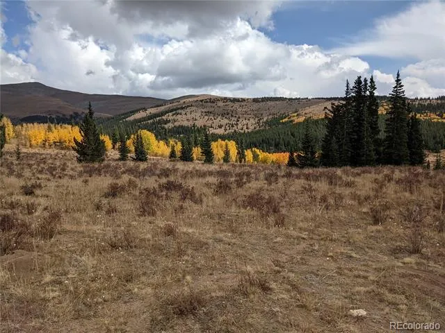 0 Snow Cap Peaks Road Alma, CO 80402