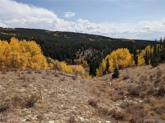 0 Snow Cap Peaks Road Alma, CO 80402