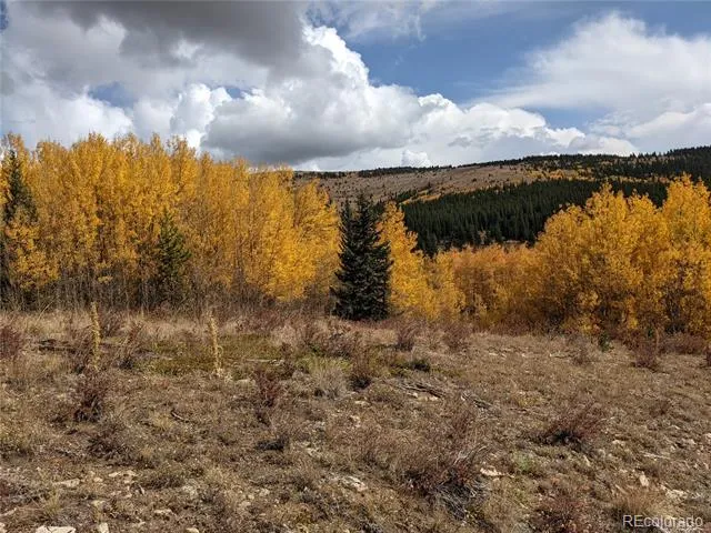0 Snow Cap Peaks Road Alma, CO 80402