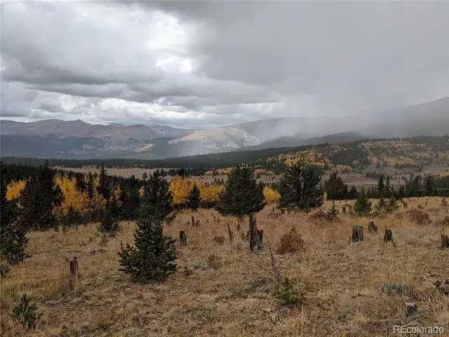 0 Snow Cap Peaks Road Alma, CO 80402