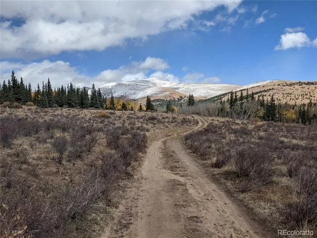 0 Snow Cap Peaks Road Alma, CO 80402
