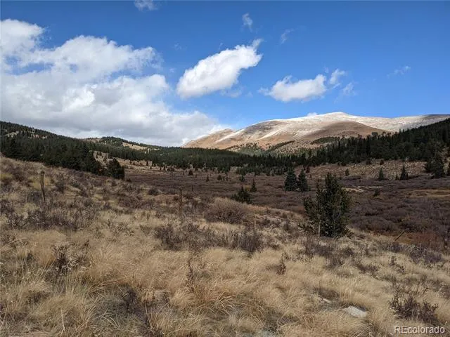 0 Snow Cap Peaks Road Alma, CO 80402