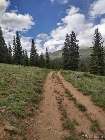 0 Snow Cap Peaks Road Alma, CO 80402