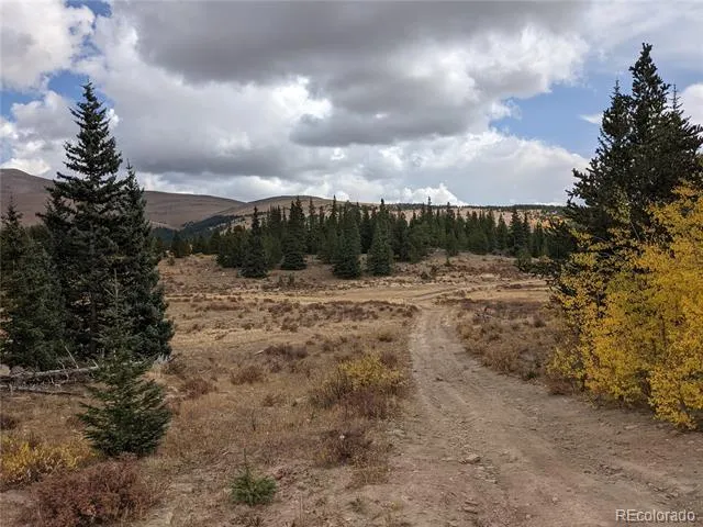 0 Snow Cap Peaks Road Alma, CO 80402