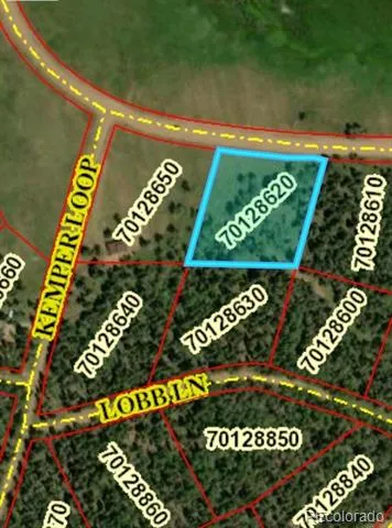 2941 FORBES PARK ROAD Fort Garland, CO 81133
