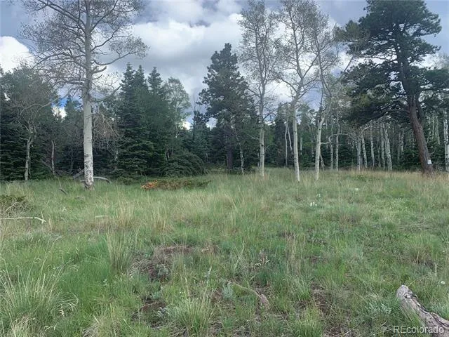 2941 FORBES PARK ROAD Fort Garland, CO 81133