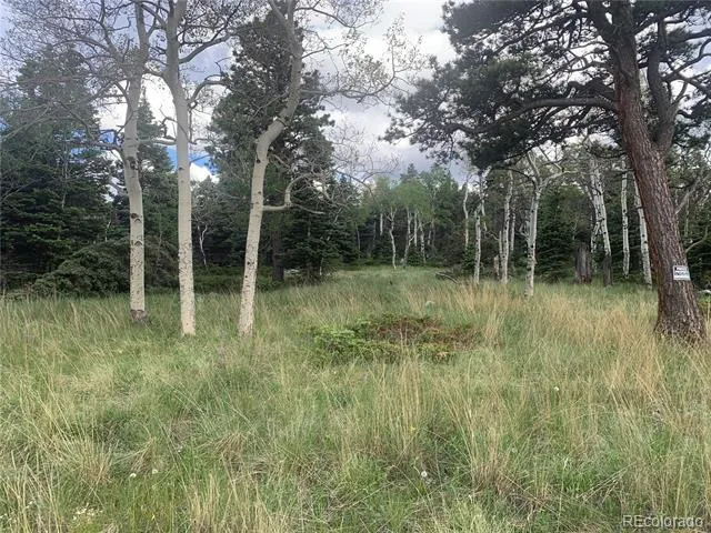 2941 FORBES PARK ROAD Fort Garland, CO 81133