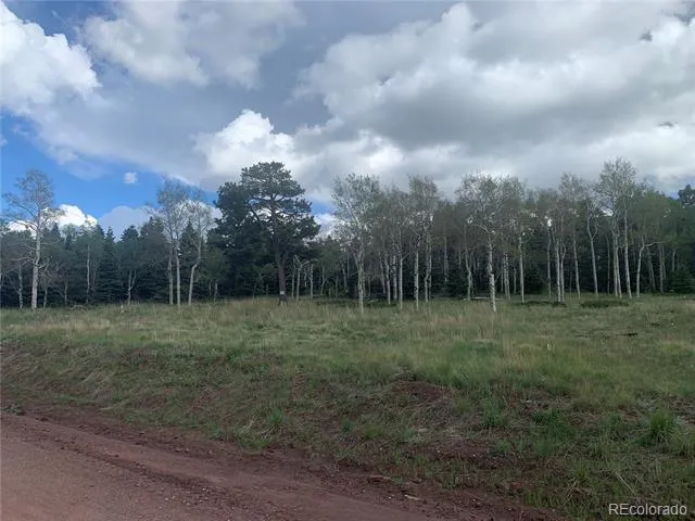 2941 FORBES PARK ROAD Fort Garland, CO 81133
