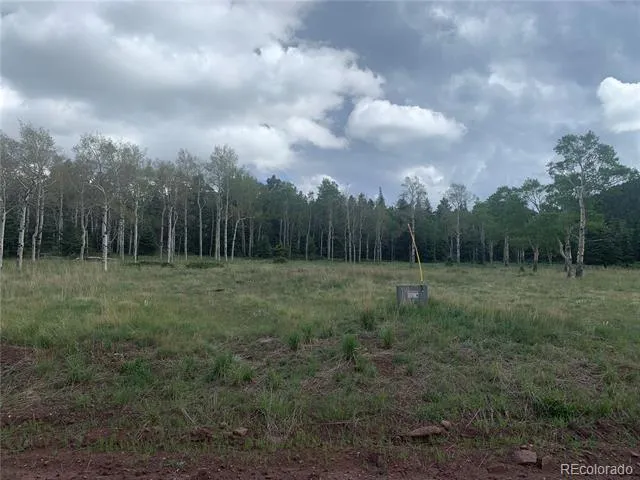 2941 FORBES PARK ROAD Fort Garland, CO 81133