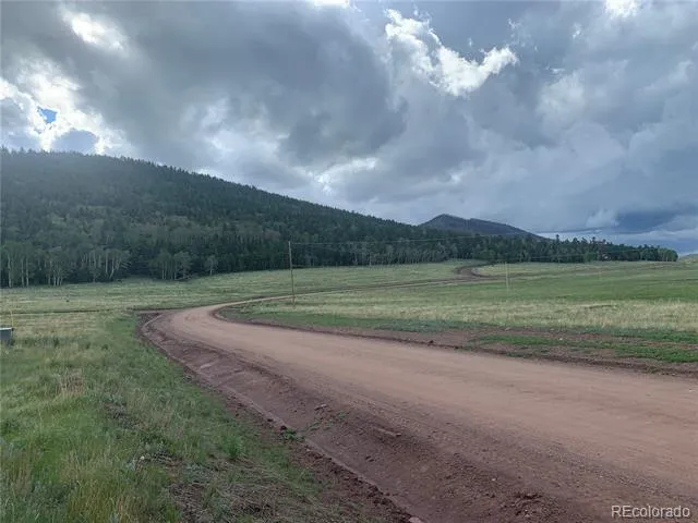 2941 FORBES PARK ROAD Fort Garland, CO 81133
