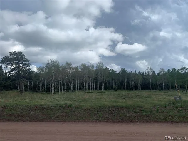 2941 FORBES PARK ROAD Fort Garland, CO 81133