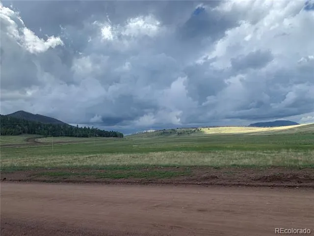 2941 FORBES PARK ROAD Fort Garland, CO 81133
