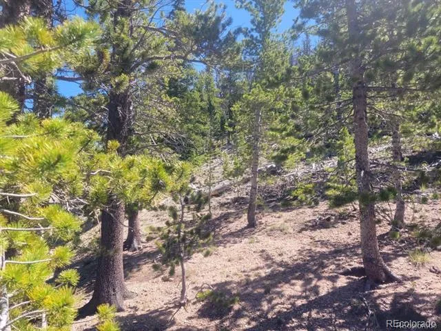 Mine Road Idaho Springs, CO 80444