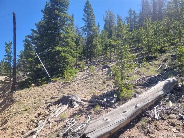 Mine Road Idaho Springs, CO 80444