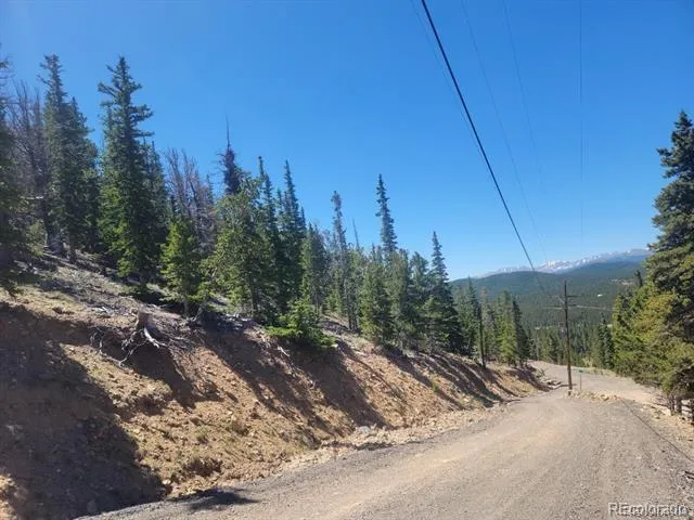 Mine Road Idaho Springs, CO 80444