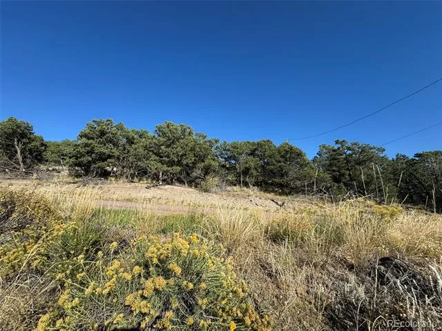 0 Copper Gulch Road Cotopaxi, CO 81223