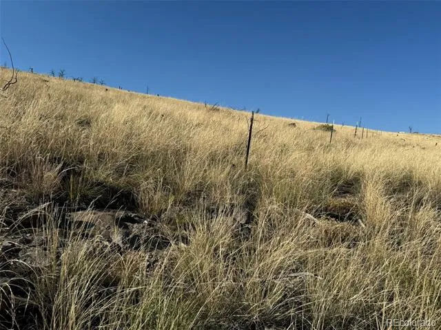 0 Copper Gulch Road Cotopaxi, CO 81223