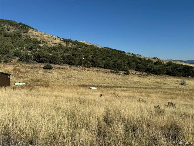 0 Copper Gulch Road Cotopaxi, CO 81223
