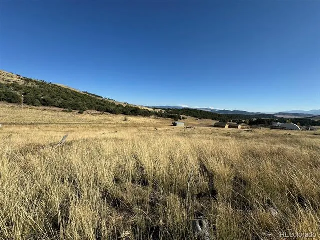 0 Copper Gulch Road Cotopaxi, CO 81223