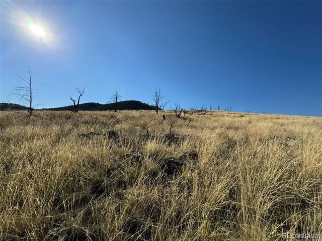 0 Copper Gulch Road Cotopaxi, CO 81223