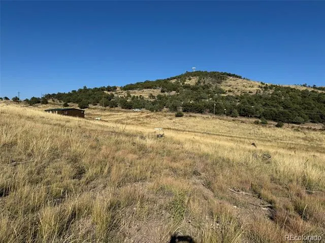 0 Copper Gulch Road Cotopaxi, CO 81223