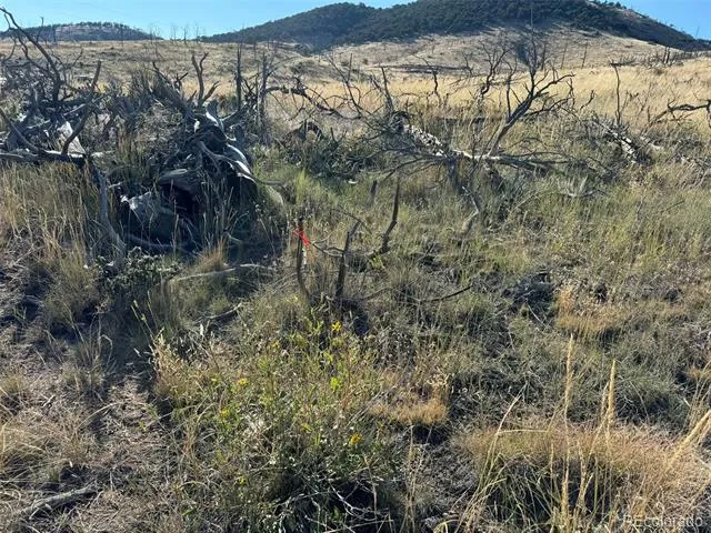 0 Copper Gulch Road Cotopaxi, CO 81223