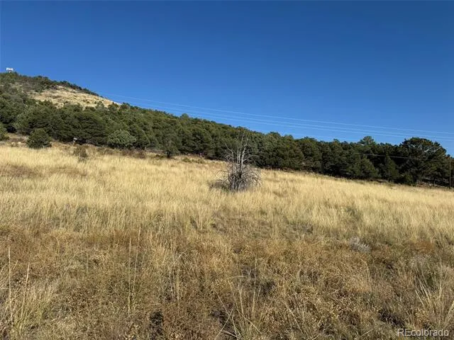 0 Copper Gulch Road Cotopaxi, CO 81223