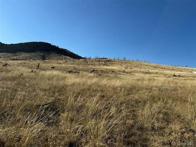 0 Copper Gulch Road Cotopaxi, CO 81223