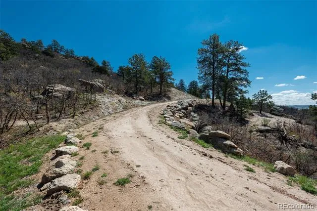 910 Equinox Drive Castle Rock, CO 80108