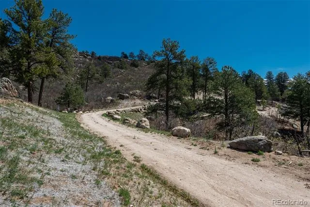 910 Equinox Drive Castle Rock, CO 80108