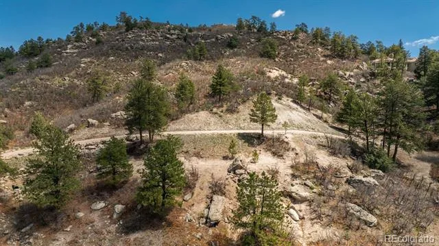 910 Equinox Drive Castle Rock, CO 80108