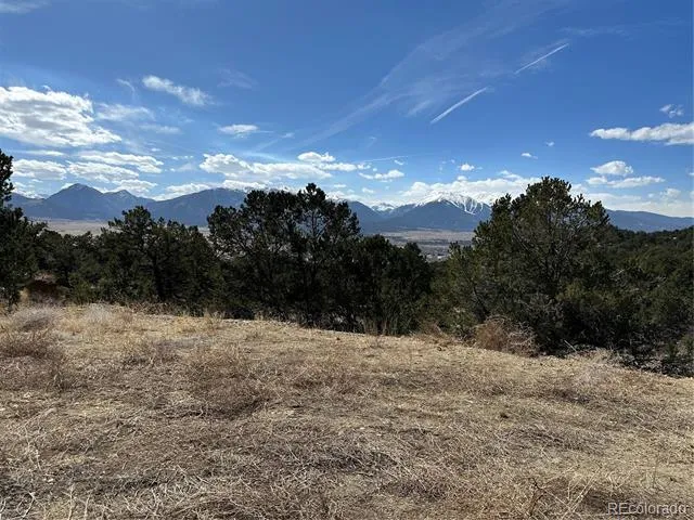 28750 County Road 304 Buena Vista, CO 81211